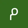 user9231600326770