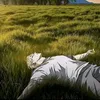 ten547_