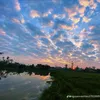 thao.anh5121