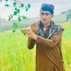 wahid.wazir823