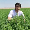 mahmod.rahmani1