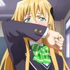 skipper_ricoman