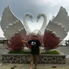 hng.bi0281