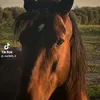 Сымбат💫