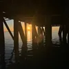 gus921967