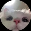 js_raven_osns0
