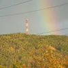 granimtseur3