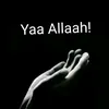 user406470678