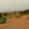mahamadagbilal