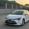 annaorazov_7
