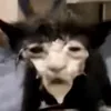garonnek