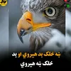 user7014810757318