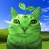 samuka_caoz
