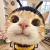 shayee424