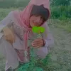 m..tyaib