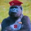 mohamedmaria282