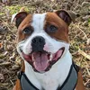 mrstaffies