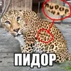 egor._f1
