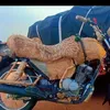 على بورما