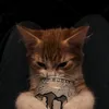 flynn_butzholz