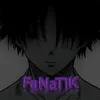 fanatik2.04