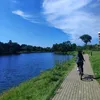 nayy_araara