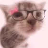 danilowkeysigma