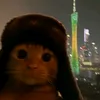 leoyourlawyer