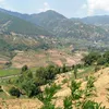 shova.magar0434