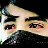 alihmdy2008
