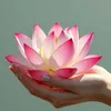 silentwisdom.vn