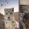 montage_0811