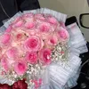 anwar.alhadi8