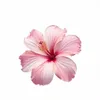 user35203017112