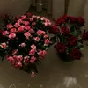 🎀ارح قلبك🎀