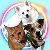 nekomanmanikuky