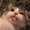 yennyfer_33