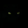 es.teh.manis566