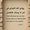rxzll11