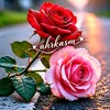 زهرة🌷 الورد🌹
