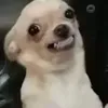 votryvotu