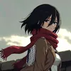 mikasa8454