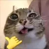 mekafun