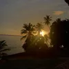 aleyoung_46