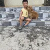 dnghong6383