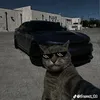 abelito_32