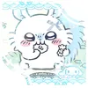 kucing_official5