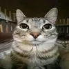 akmal.uaiuauau