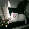 mariam_0505