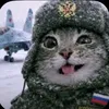 michael_m9111